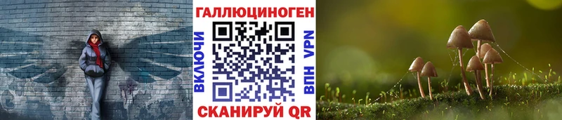 Псилоцибиновые грибы Psilocybine cubensis  Елабуга 